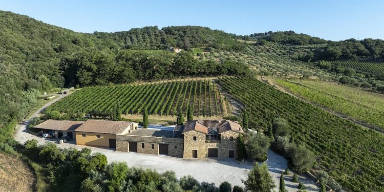 Famiglia Cecchi, sul piatto 8 milioni € per Aminta a Montalcino