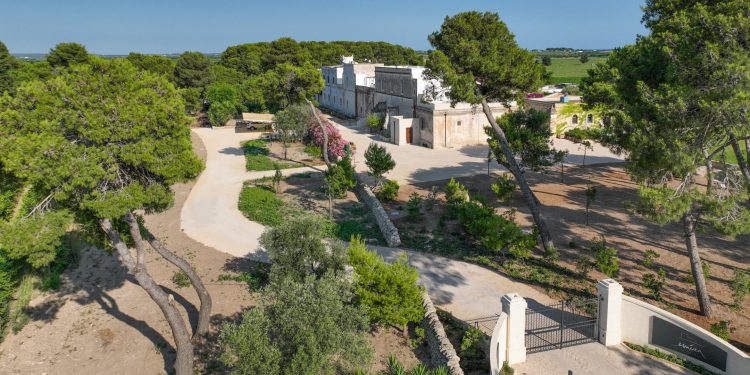 Tommasi si espande in Puglia: acquisite le tenute di Claudio Quarta