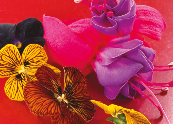 Fiori nel piatto e nel cocktail. Mercato in espansione