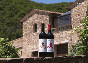 Famiglia Cecchi svela Aminta, il nuovo progetto a Montalcino
