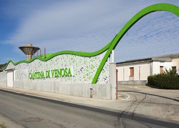 Cantina di Venosa sale a 8,8 mln € di ricavi. Investe 3,4 mln per l’ospitalità