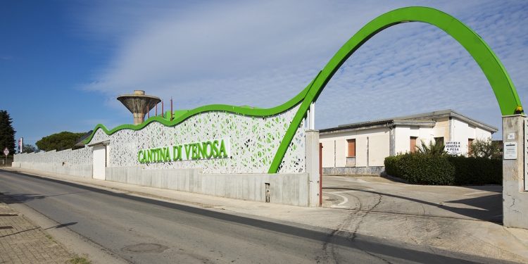 Cantina di Venosa sale a 8,8 mln € di ricavi. Investe 3,4 mln per l’ospitalità