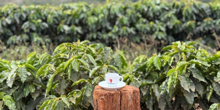 Hausbrandt, il futuro del caffè tra sfide globali e passaggio di testimone