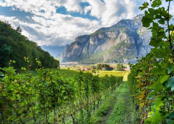 Fine WineTourism Marketplace Italy, debutta il salone dell’enoturismo