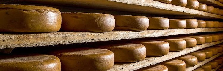 Inalpi si consolida nel lattiero-caseario. Rileva Gruppo Marenchino