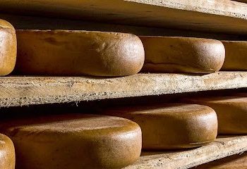 Inalpi si consolida nel lattiero-caseario. Rileva Gruppo Marenchino
