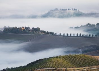 Montalcino, l’enoturismo genera un indotto di 150 milioni €