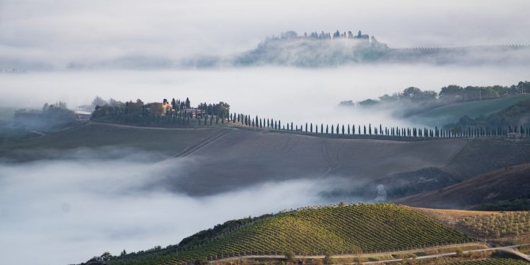 Montalcino, l’enoturismo genera un indotto di 150 milioni €