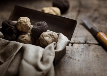 Appennino Food oltre i 20 mln € nel 2025. Apre nuova filiale in Usa
