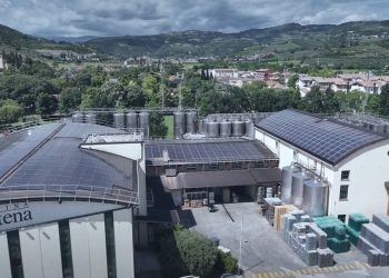 Cantine di Verona archivia l’esercizio a 58,3 mln €. Gdo a +2,5%