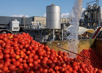 Solana acquisisce Desco e crea gruppo di conserve vegetali da 100 mln €