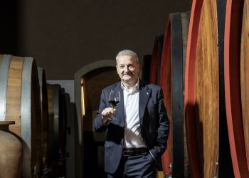 Cantine Vitevis, fatturato intorno ai 70 mln € nell’anno (-5%)