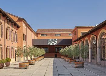 Angelini Wines & Estates verso un 2025 stabile a circa 26 milioni di euro