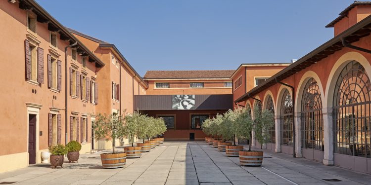 Angelini Wines & Estates verso un 2025 stabile a circa 26 milioni di euro