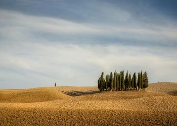 La famiglia Lee compra Tenuta Cerbaia a Montalcino per 5 mln €