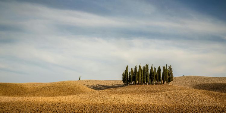 La famiglia Lee compra Tenuta Cerbaia a Montalcino per 5 mln €