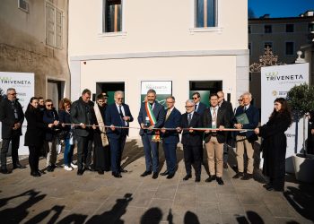 I consorzi del Triveneto si uniscono creando il Polo Vitivinicolo