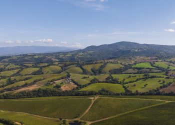 Doc Maremma in linea nel 2025. Imbottigliato a 7,5 milioni di pezzi
