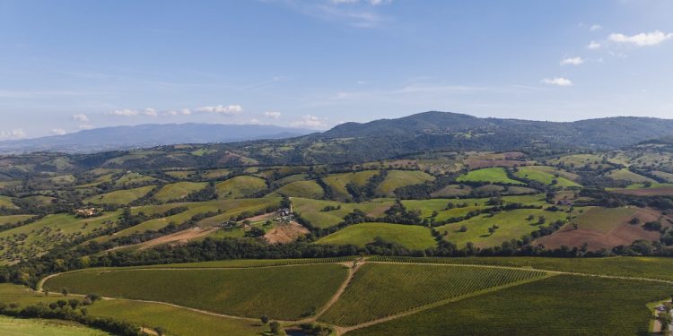 Doc Maremma in linea nel 2025. Imbottigliato a 7,5 milioni di pezzi