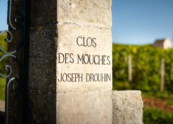 Ghilardi Selezioni è il distributore per l’Italia di Drouhin