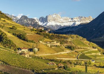 Vini Alto Adige, giro d’affari intorno ai 360 mln €. Bollicine a +30% a volume
