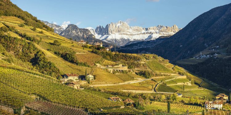 Vini Alto Adige, giro d’affari intorno ai 360 mln €. Bollicine a +30% a volume