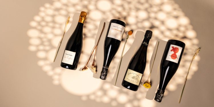 IDealwine, le aste di vini pregiati continuano ad accelerare. Vendite a +18% nel 2025