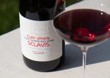 Cavit mette il focus su Pinot Bianco e Schiava