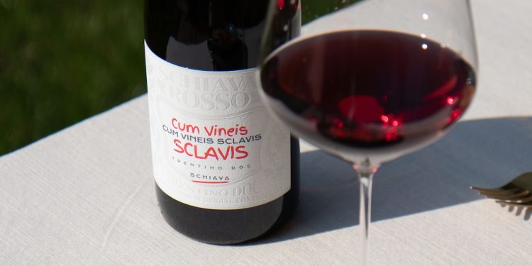Cavit mette il focus su Pinot Bianco e Schiava