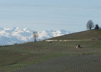 La cantina Roberto Voerzio entra nel portfolio di Sagna