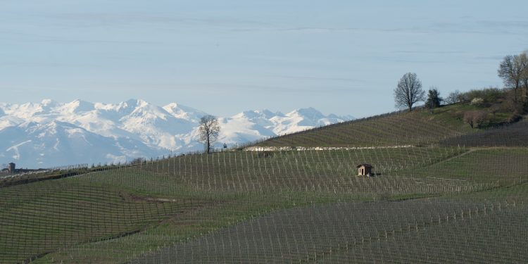 La cantina Roberto Voerzio entra nel portfolio di Sagna