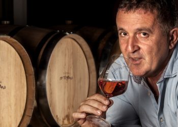 Cantina Sociale Orsogna, ricavi in crescita del 32% a 62 milioni di euro