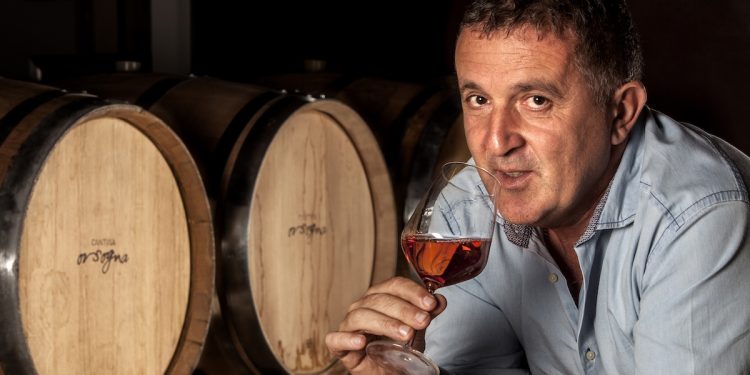 Cantina Sociale Orsogna, ricavi in crescita del 32% a 62 milioni di euro