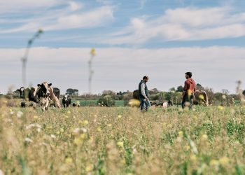 Gioiella verso 204 milioni di euro di fatturato nel 2026 (+5%)
