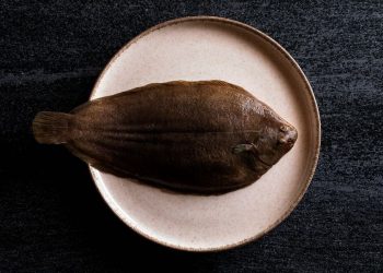 Stolt Sea Farm a 120 milioni € (+9,6%). Presentato il brand Neptura
