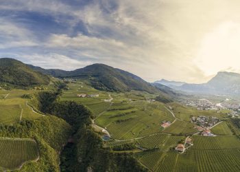 I founder della cantina trentina Pojer e Sandri si separano