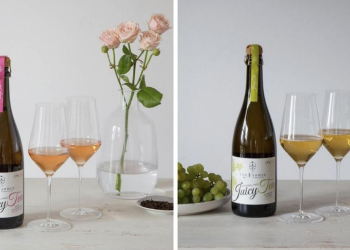 Van Nahmen lancia in Italia due nuovi sparkling juicy tea