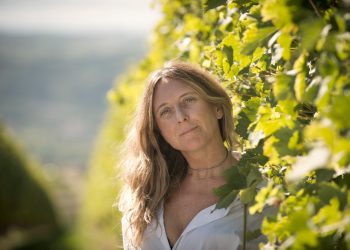 Ad Alberto Zenato la maggioranza della cantina veneta di famiglia