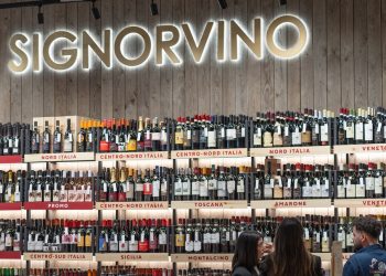 Signorvino, sette nuovi punti vendita entro fine anno
