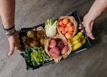 Ale Fresh Market, il fatturato sale a 3,4 milioni € (+27%). Utile a +68%