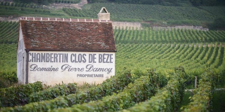 Louis Roederer entra in Borgogna acquisendo Domaine Pierre Damoy