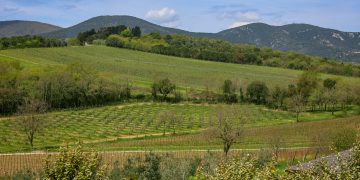 La Faretra, nuova cantina e progetto hospitality. Investimenti per 4 mln €