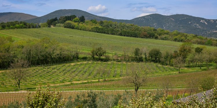 La Faretra, nuova cantina e progetto hospitality. Investimenti per 4 mln €