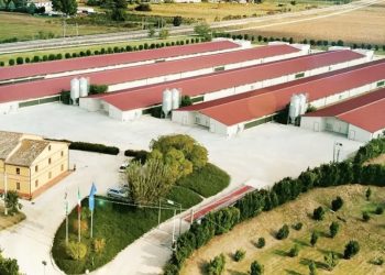 Fileni chiude l’anno con un fatturato consolidato di 680 mln € (+11%)