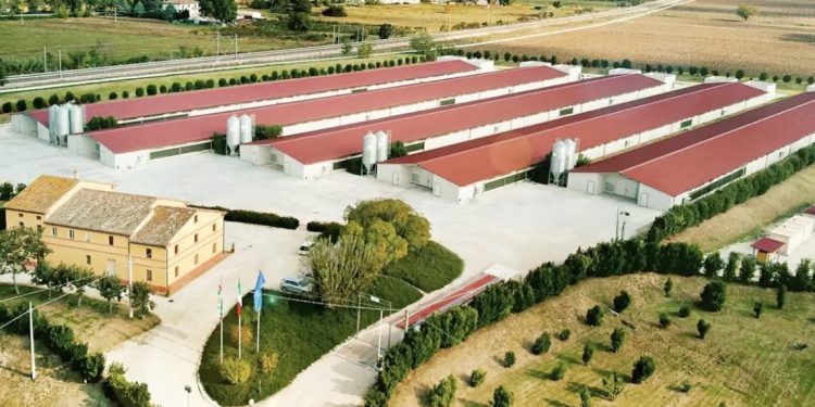 Fileni chiude l’anno con un fatturato consolidato di 680 mln € (+11%)